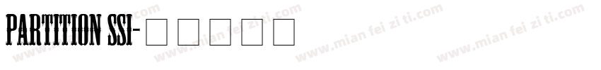 Partition SSi字体转换